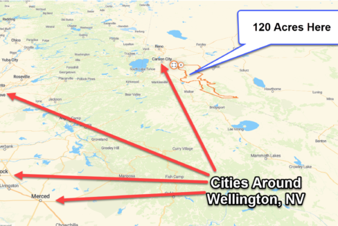 Wellington Cities Around