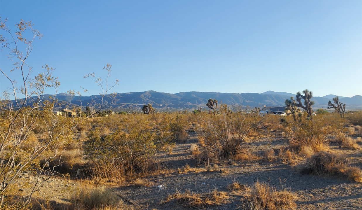 Pinon Hills Vacant Lot For Sale